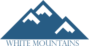 wm-logo-text